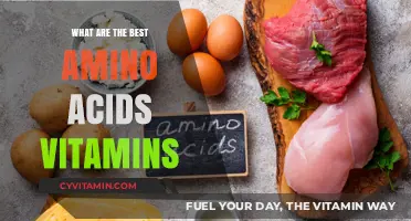 Top Amino Acids and Vitamins for Optimal Health and Wellness