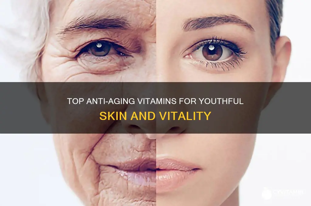 what are the best anti-aging vitamins