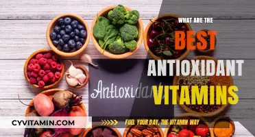Top Antioxidant Vitamins for Optimal Health and Wellness