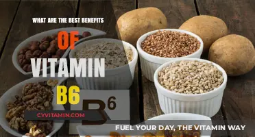 Unlocking Vitamin B6's Top Health Benefits for Optimal Wellness