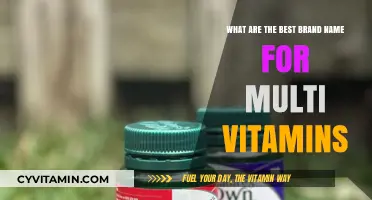 Top Multi-Vitamin Brands: Choosing the Best Name for Your Health