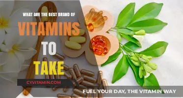 Top Vitamin Brands for Optimal Health and Wellness