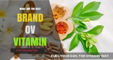 Top Vitamin Brands for Optimal Health and Wellness