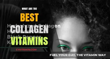 Top Collagen Vitamins for Skin, Hair, and Joint Health