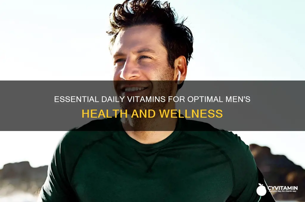 what are the best daily vitamins for men