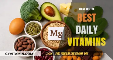 Essential Daily Vitamins for Optimal Health and Wellness Guide