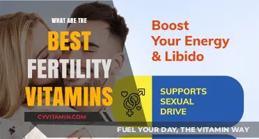 Boosting Fertility Naturally: Top Vitamins for Reproductive Health