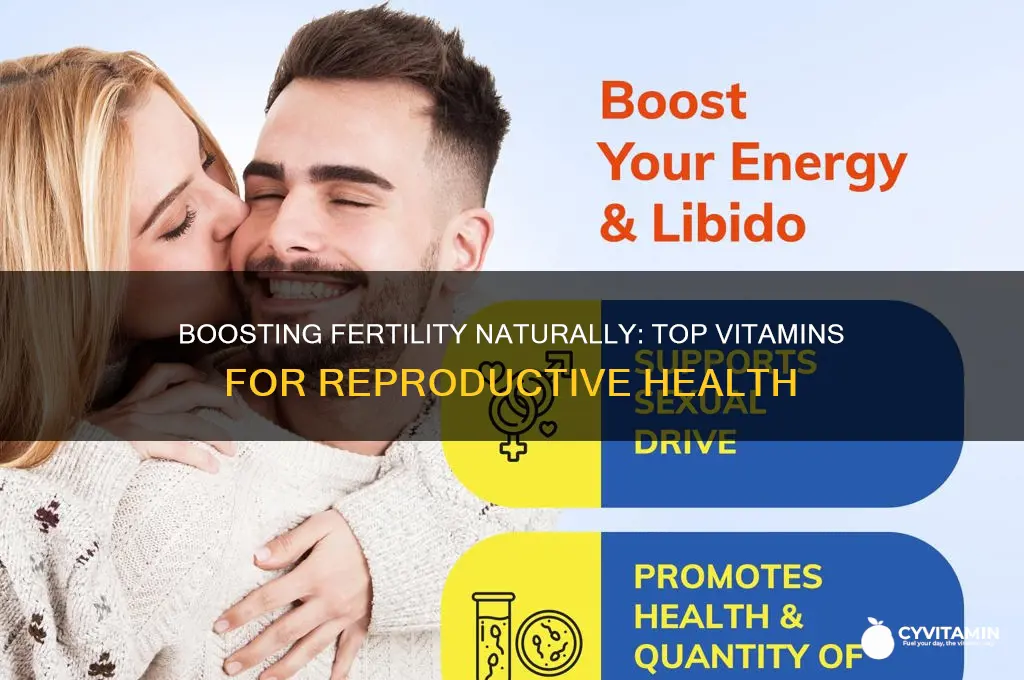 what are the best fertility vitamins