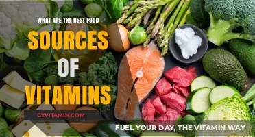Nutrient-Rich Foods: Top Vitamin Sources for Optimal Health