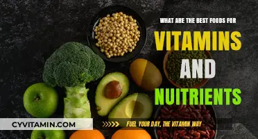 Nutrient-Rich Superfoods: Top Vitamin-Packed Foods for Optimal Health