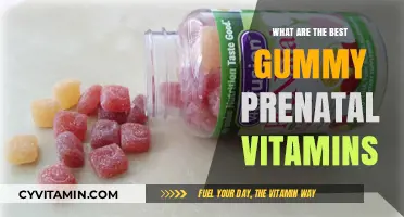 Top Gummy Prenatal Vitamins for Healthy Pregnancy and Baby Development