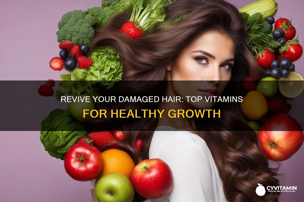 what are the best hair vitamins for damaged hair