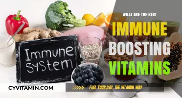 Top Immune-Boosting Vitamins for Optimal Health and Wellness