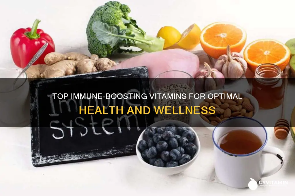 what are the best immune boosting vitamins