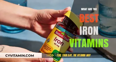 Top Iron-Rich Vitamin Supplements for Optimal Health and Energy Boost