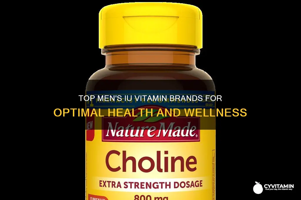 what are the best mens iu vitamin brand