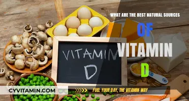 Sunlight and Beyond: Top Natural Sources of Vitamin D