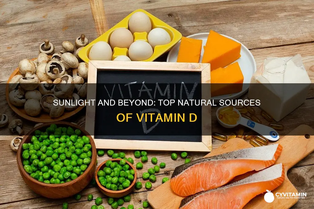 what are the best natural sources of vitamin d