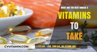 Top Omega-3 Supplements: Best Choices for Optimal Health Benefits