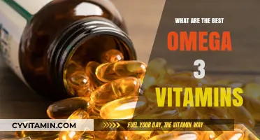Top Omega-3 Vitamins for Optimal Health and Wellness Benefits
