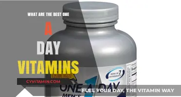 Top One-a-Day Vitamins for Optimal Health and Wellness