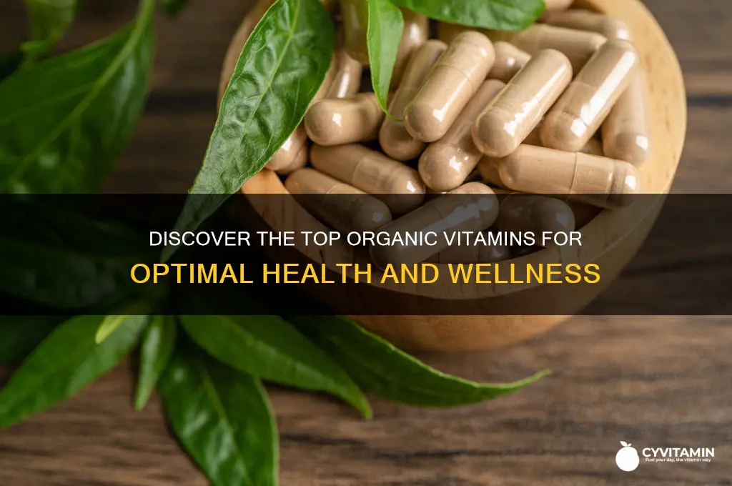what are the best organic healthiest vitamins