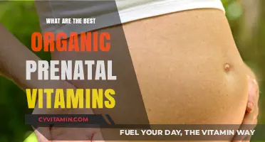 Top Organic Prenatal Vitamins for a Healthy Pregnancy Journey