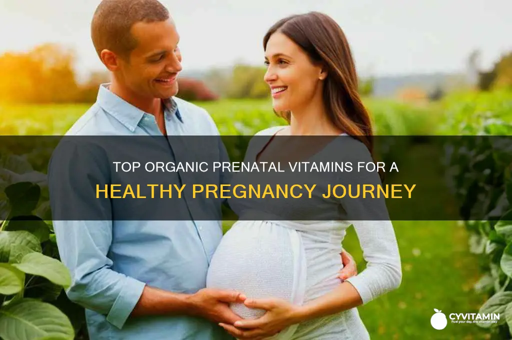 what are the best organic prenatal vitamins