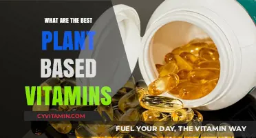 Top Plant-Based Vitamins for Optimal Health and Wellness