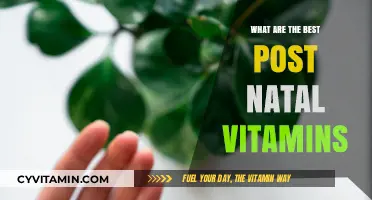 Top Post-Natal Vitamins for New Moms: Essential Nutrients for Recovery