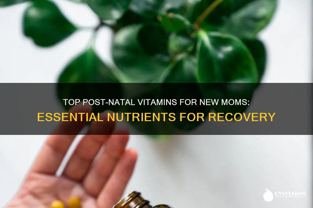what are the best post natal vitamins