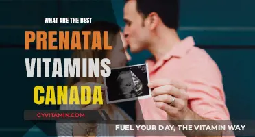 Top Prenatal Vitamins in Canada for a Healthy Pregnancy Journey