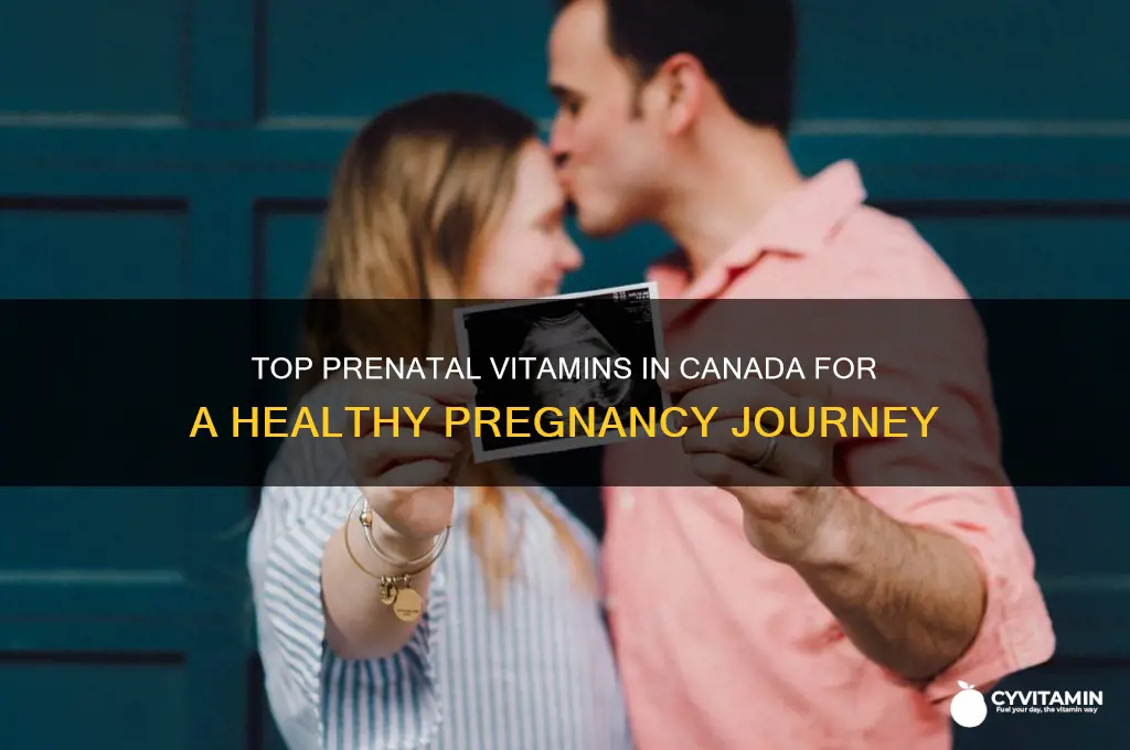 what are the best prenatal vitamins canada