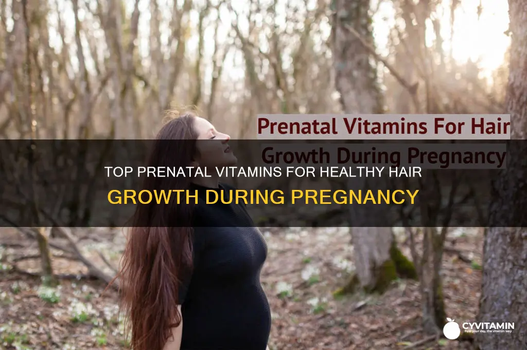 what are the best prenatal vitamins for hair growth