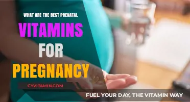 Top Prenatal Vitamins for a Healthy Pregnancy Journey