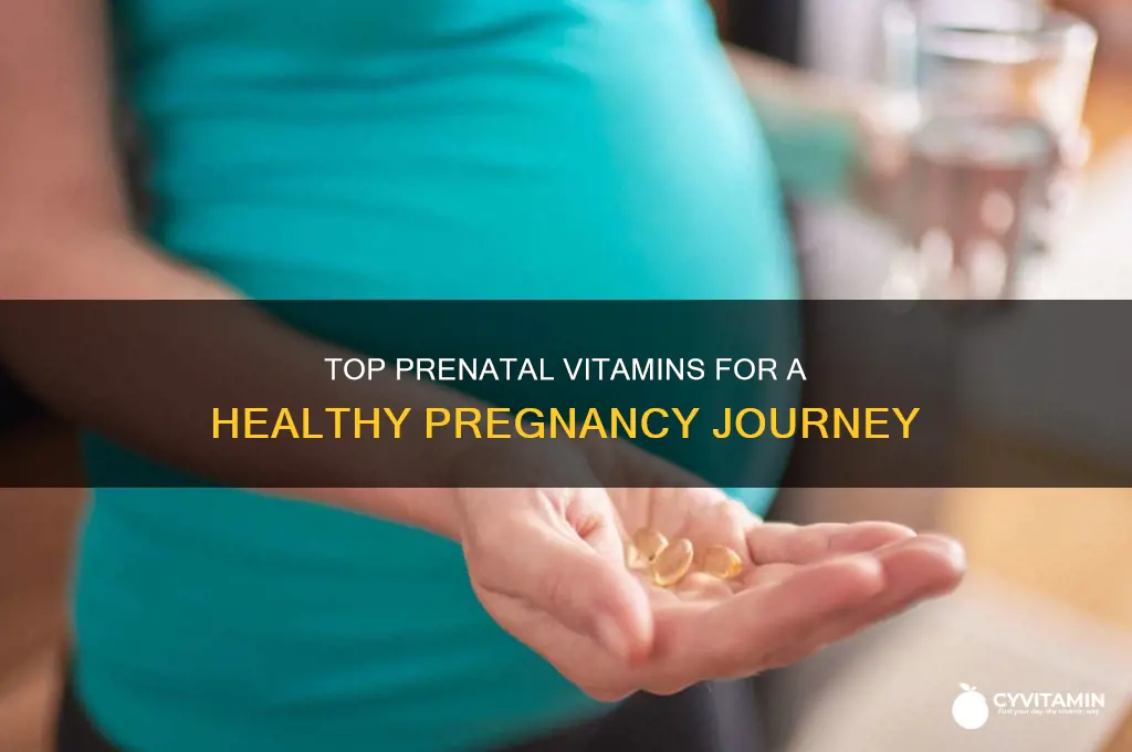 what are the best prenatal vitamins for pregnancy