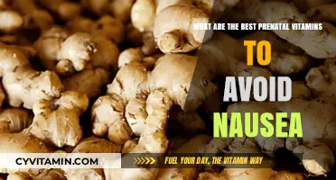 Top Prenatal Vitamins to Ease Morning Sickness and Nausea