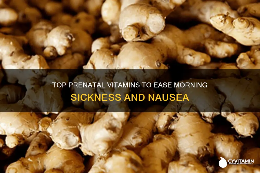 what are the best prenatal vitamins to avoid nausea
