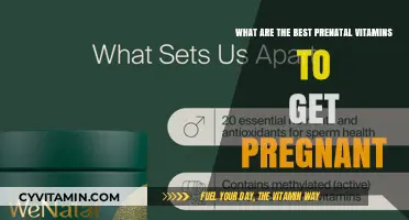 Top Prenatal Vitamins to Boost Fertility and Support Conception