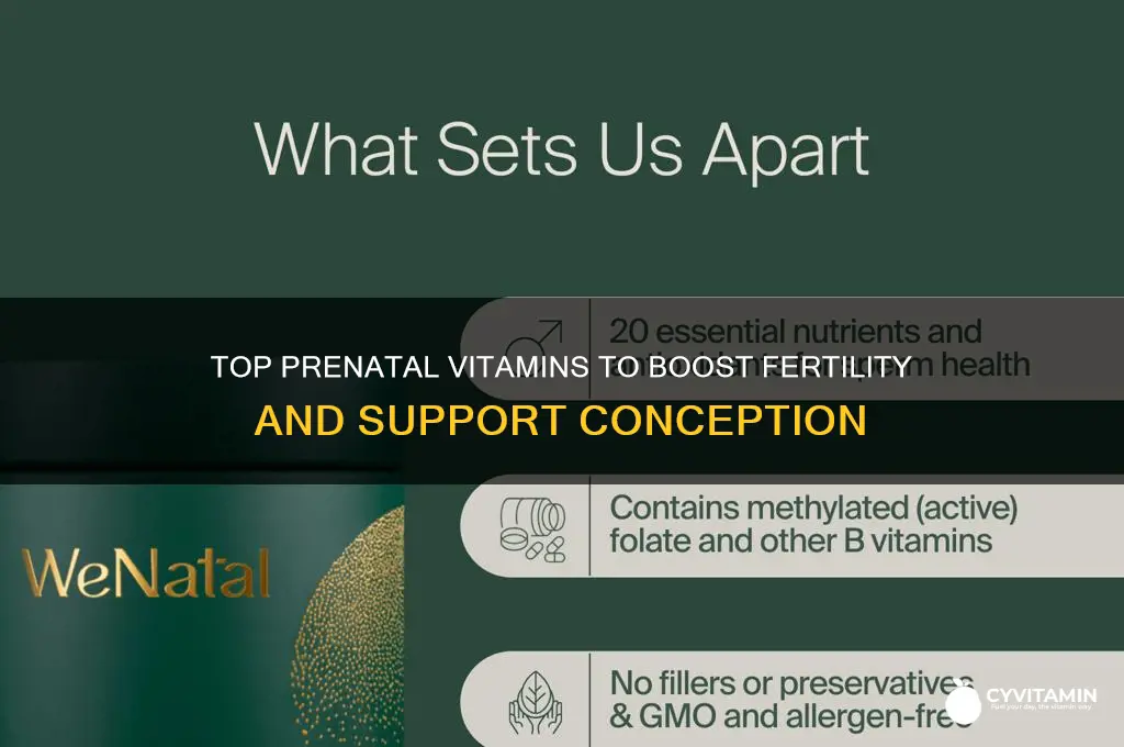 what are the best prenatal vitamins to get pregnant