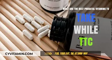 Top Prenatal Vitamins for TTC: Boosting Fertility and Baby's Health