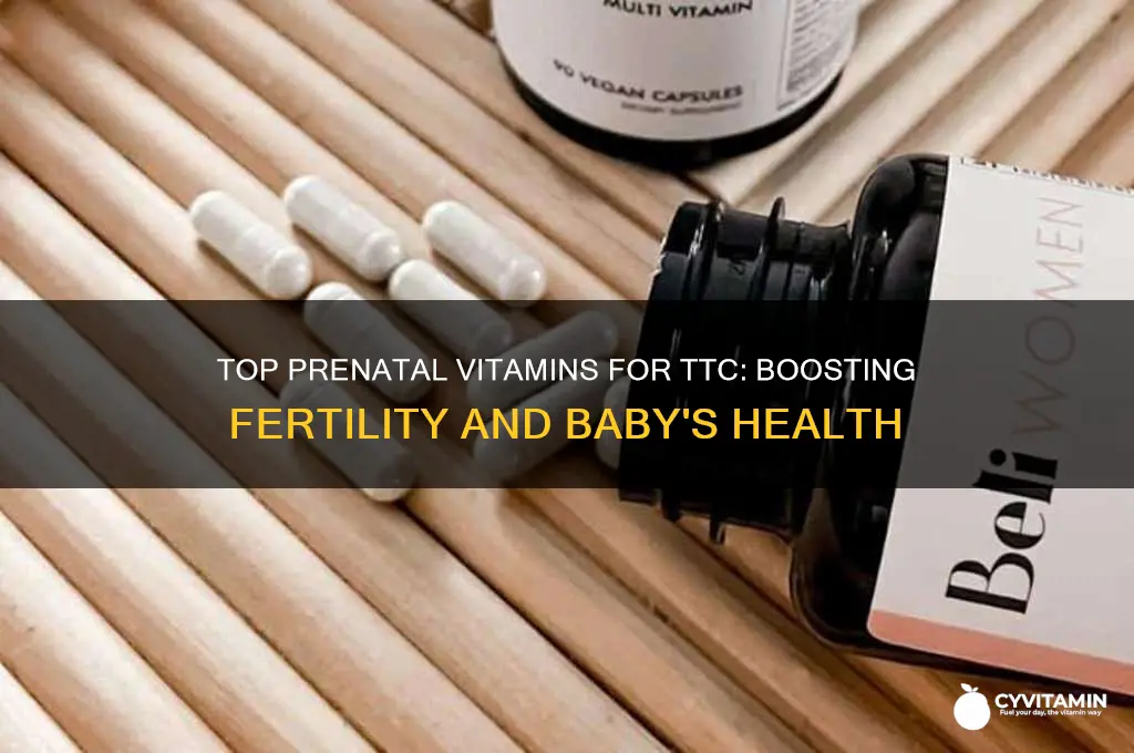 what are the best prenatal vitamins to take while ttc