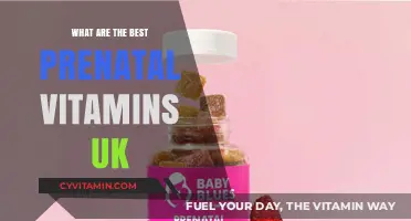 Top UK Prenatal Vitamins for a Healthy Pregnancy Journey