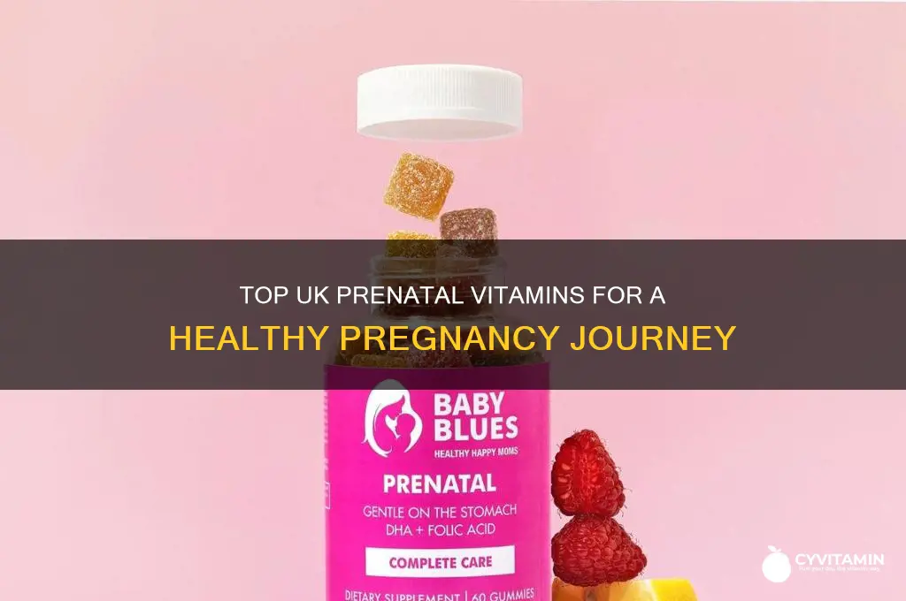 what are the best prenatal vitamins uk
