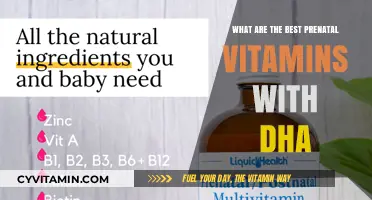 Top Prenatal Vitamins with DHA for Healthy Pregnancy and Baby