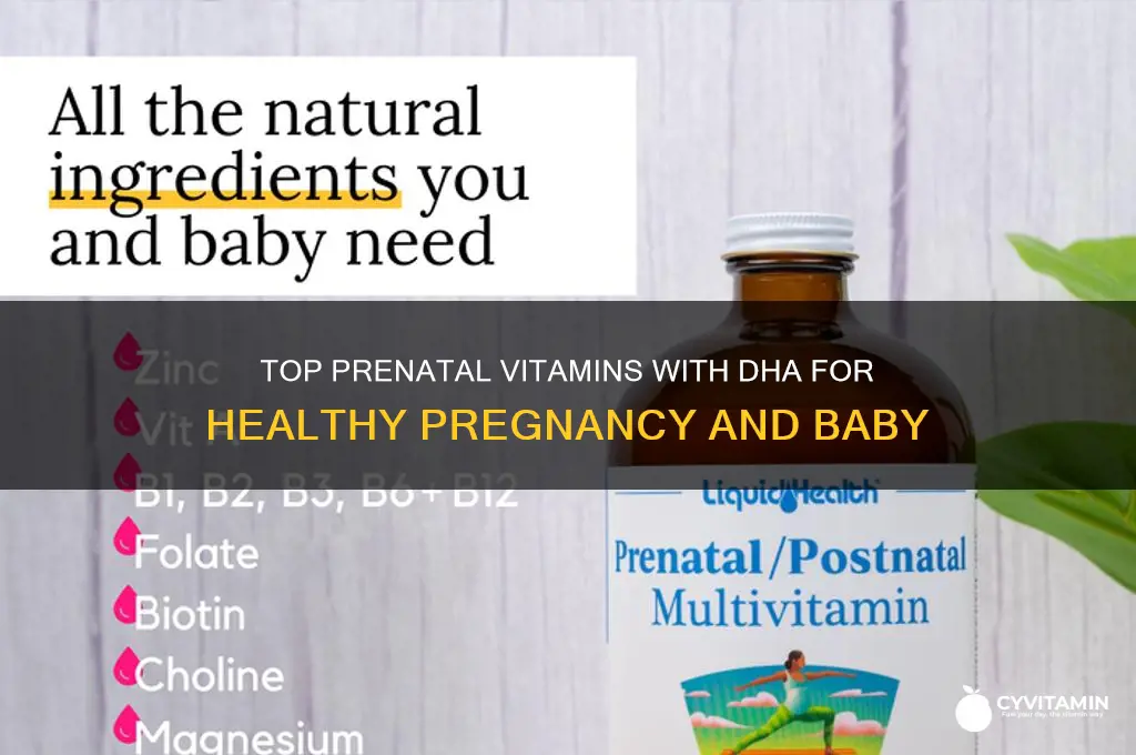 what are the best prenatal vitamins with dha