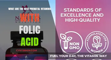 Top Prenatal Vitamins with Folic Acid for Healthy Pregnancy Support