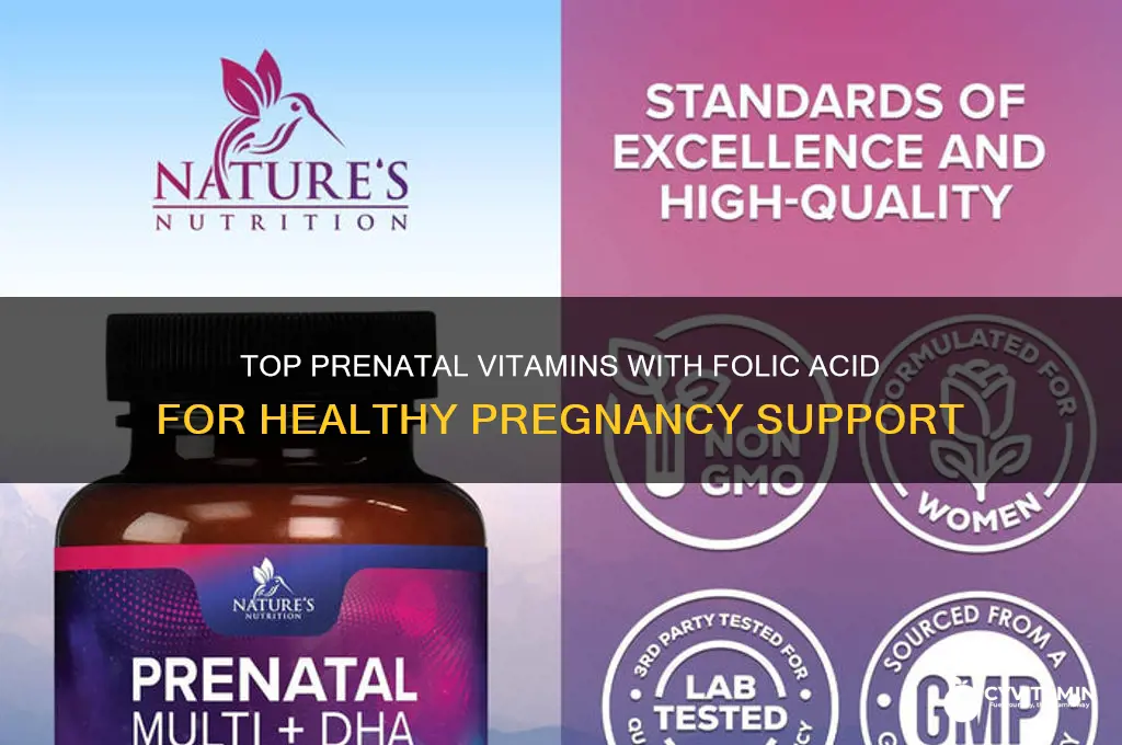 what are the best prenatal vitamins with folic acid