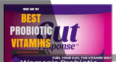 Top Probiotic Vitamins for Optimal Gut Health and Wellness
