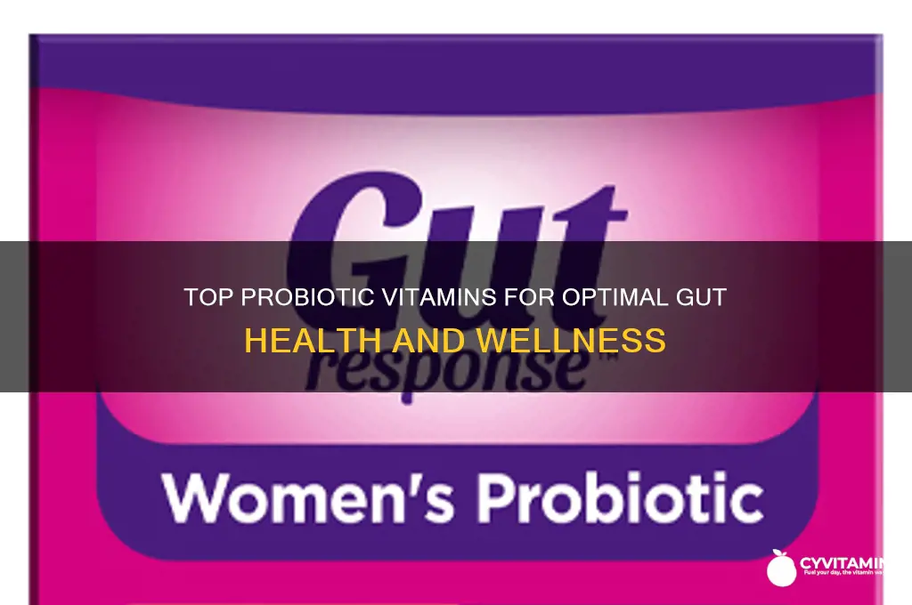 what are the best probiotic vitamins